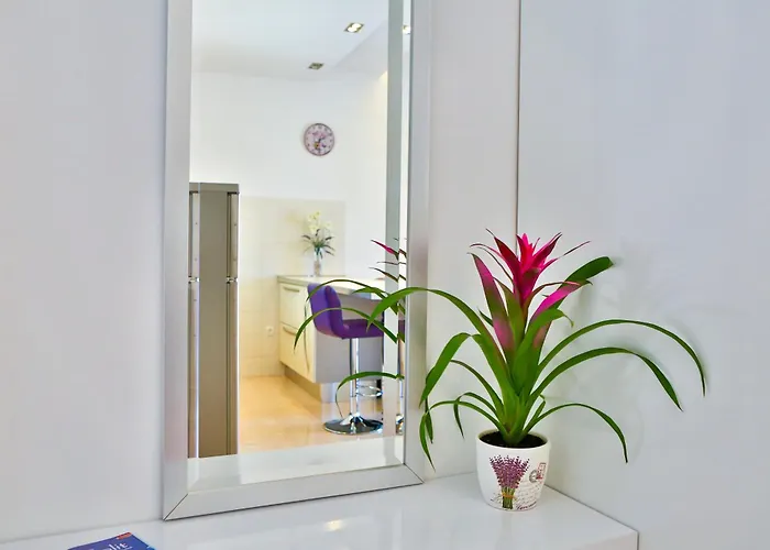 Appartamento Summer Lounge *